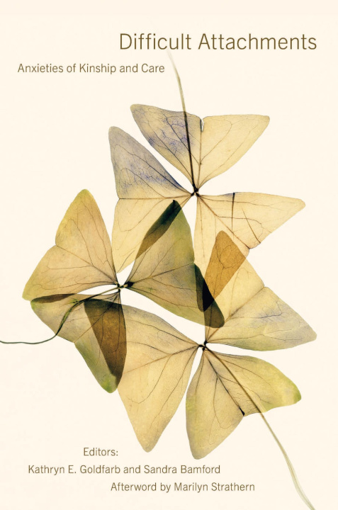 Knjiga Difficult Attachments Sandra Bamford