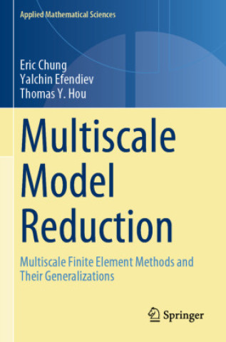 Knjiga Multiscale Model Reduction Thomas Y. Hou