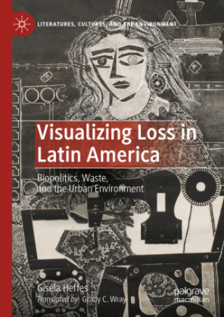 Knjiga Visualizing Loss in Latin America Grady C. Wray