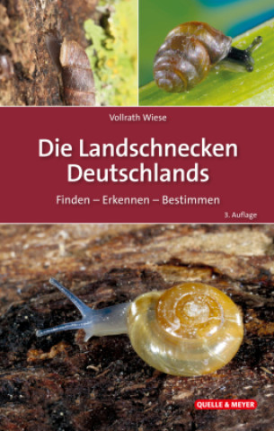 Buch Die Landschnecken Deutschlands 