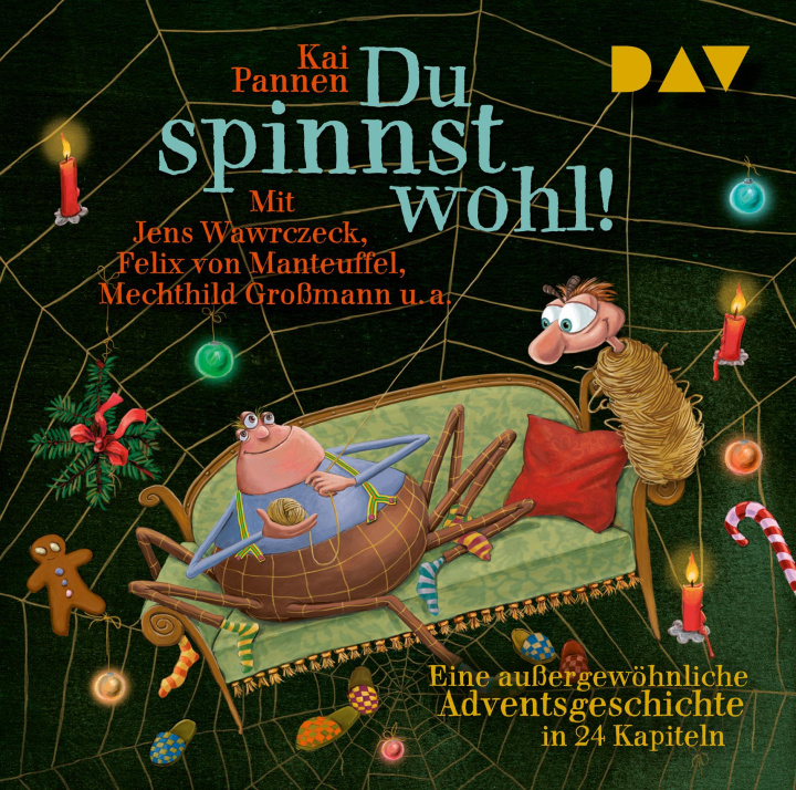 Audio Du spinnst wohl! Eine außergewöhnliche Adventsgeschichte in 24 Kapiteln Mechthild Großmann