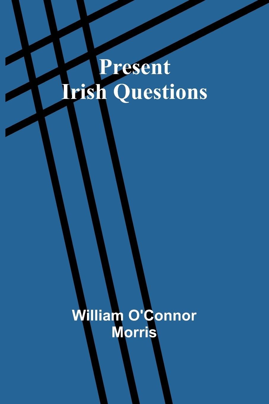 Knjiga Present Irish Questions William O'Connor Morris