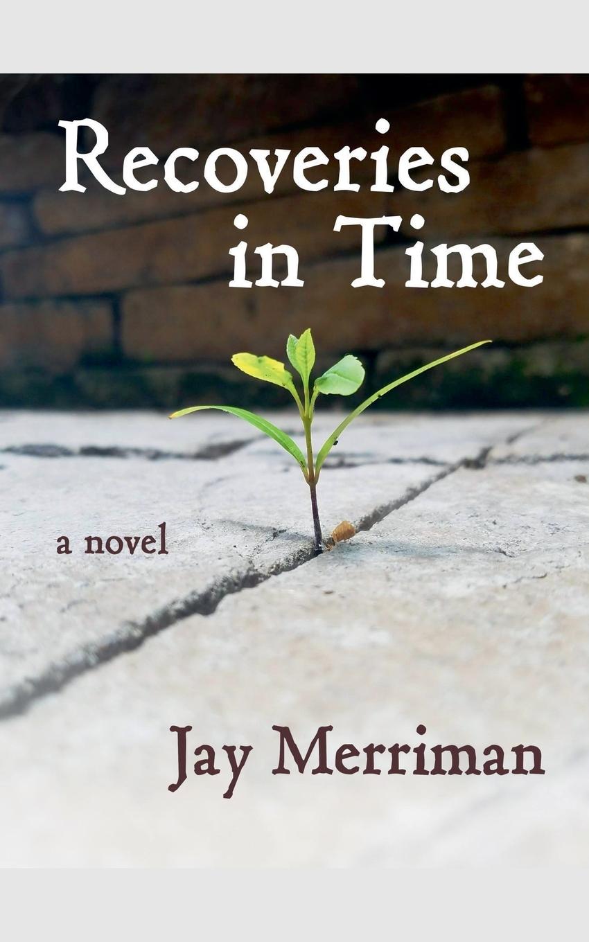 Knjiga Recoveries in Time Jay Merriman