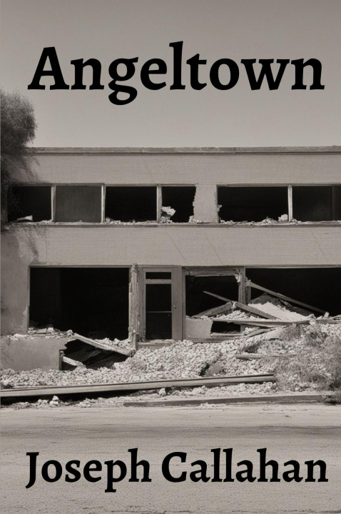 Knjiga Angeltown Joseph Callahan