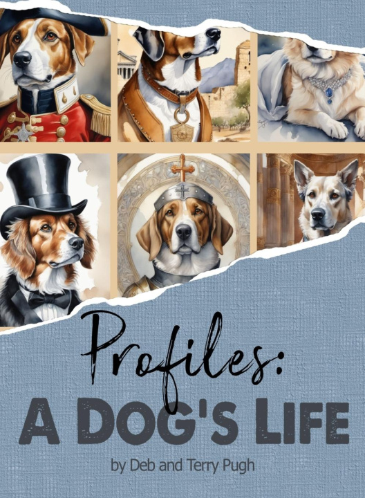 Knjiga Profiles Deborah Pugh