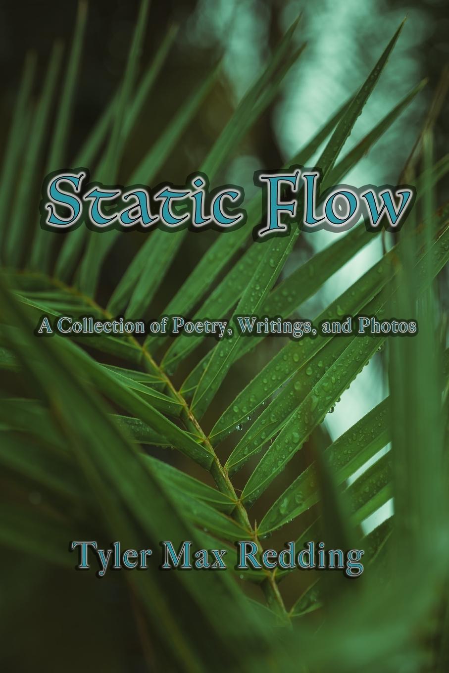 Knjiga Static Flow Tyler Max Redding