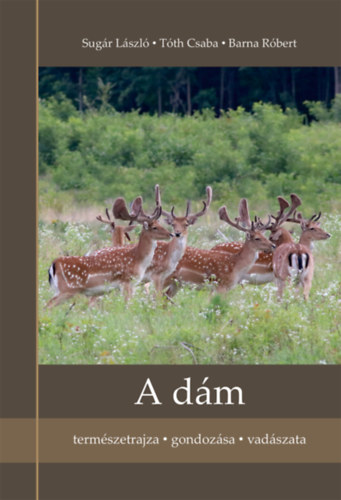 Boek A dám Sugár László