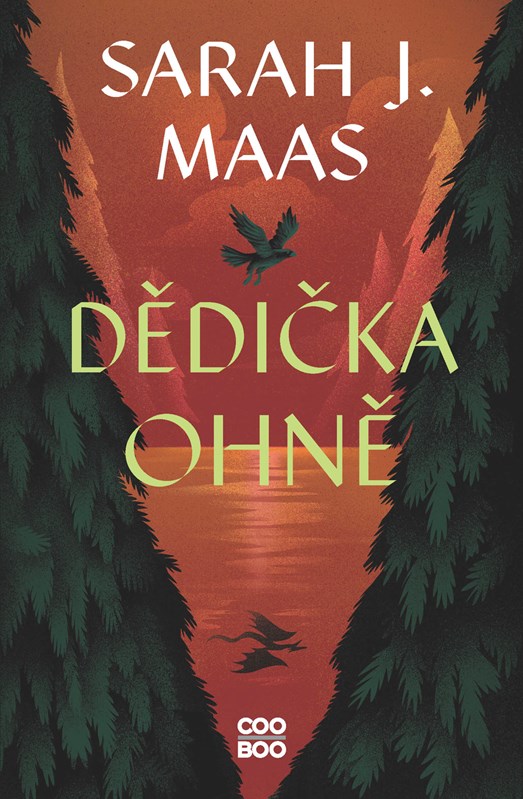 Book Dědička ohně Sarah J. Maas