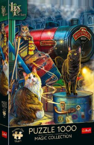 Gra/Zabawka Magic Collection: Witchwood Express 