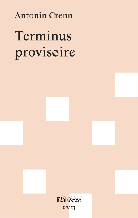 Knjiga Terminus provisoire CRENN