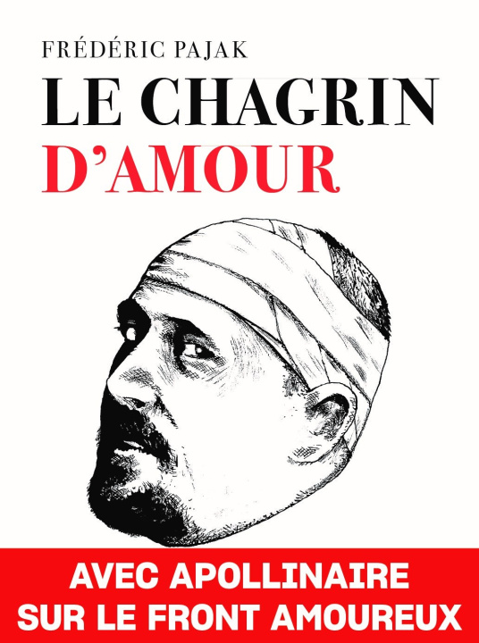 Knjiga Chagrin d amour Pajak frederic