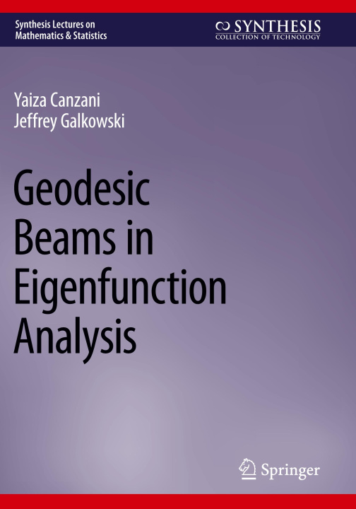 Knjiga Geodesic Beams in Eigenfunction Analysis Yaiza Canzani