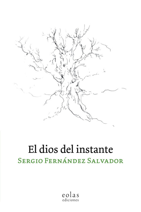 Knjiga El dios del instante FERNANDEZ SALVADOR