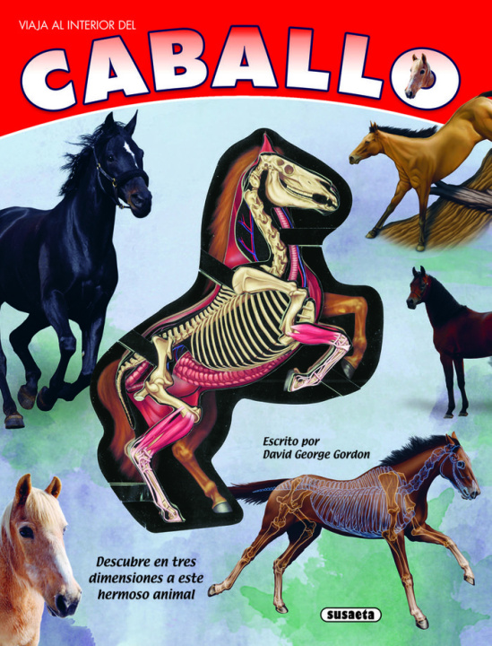 Książka EL CABALLO GORDON