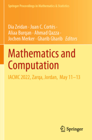 Book Mathematics and Computation Dia Zeidan