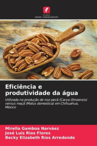 Buch Eficiência e produtividade da água Mirella Gamboa Narváez