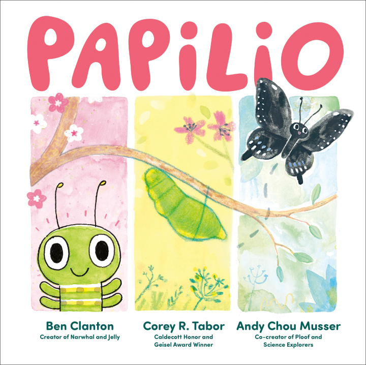 Boek Papilio Andy Chou Musser