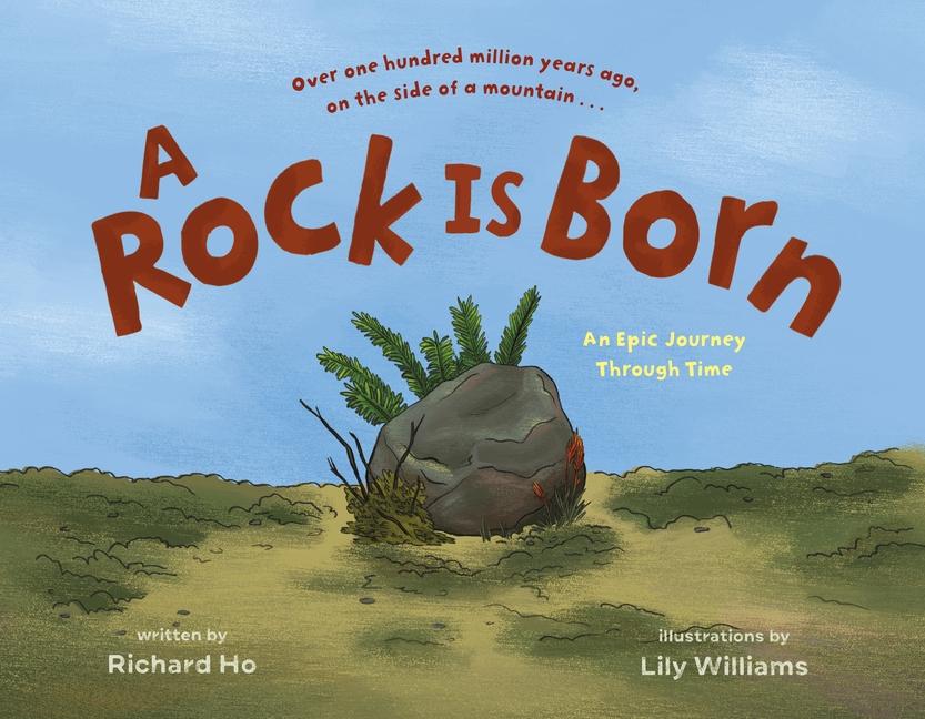 Buch A Rock Is Born Lily Williams