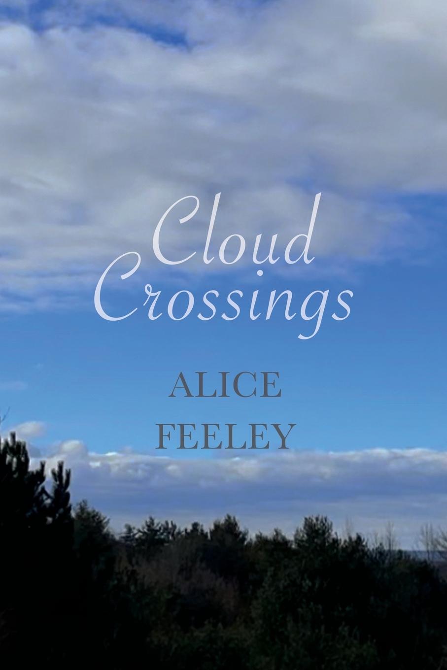 Knjiga Cloud Crossings Alice Feeley