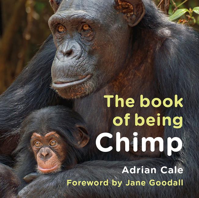 Knjiga The Book of Being Chimp Adrian Cale