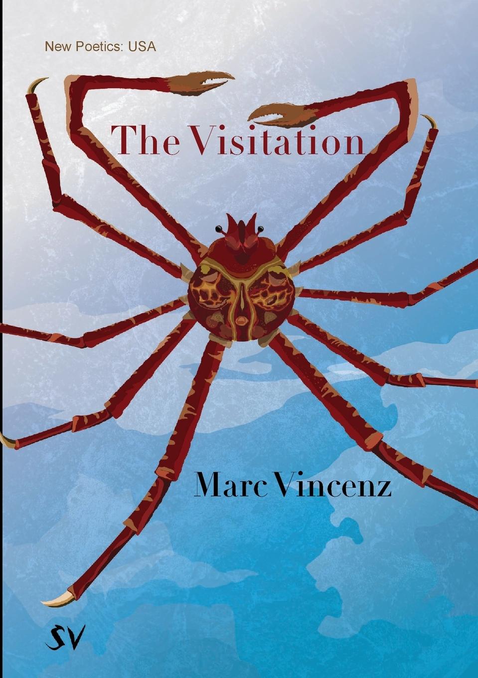Book The Visitation Marc Vincenz