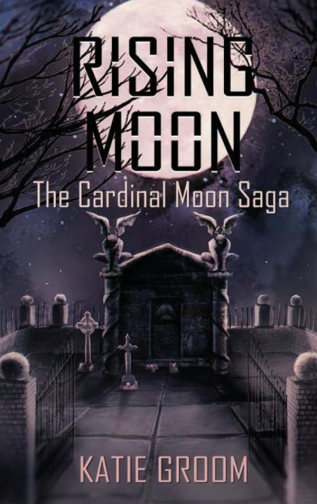 Knjiga Rising Moon Katie Groom