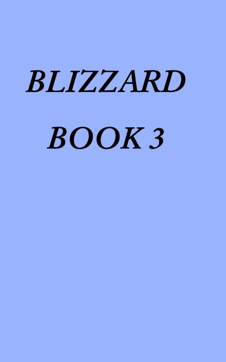 Kniha Blizzard Book 3 Linda Ann Martens