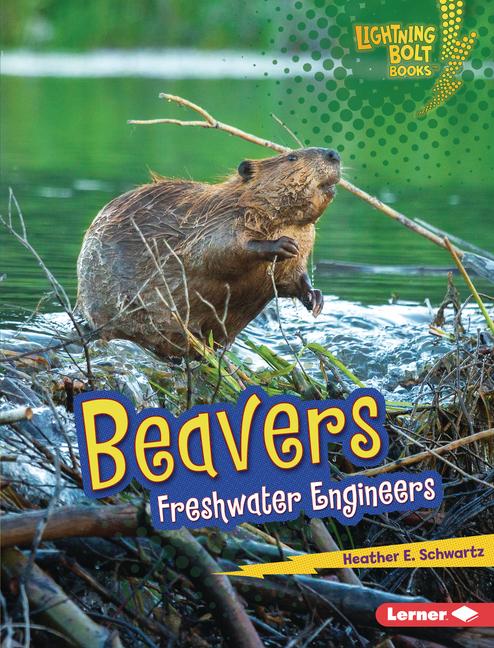 Knjiga Beavers 