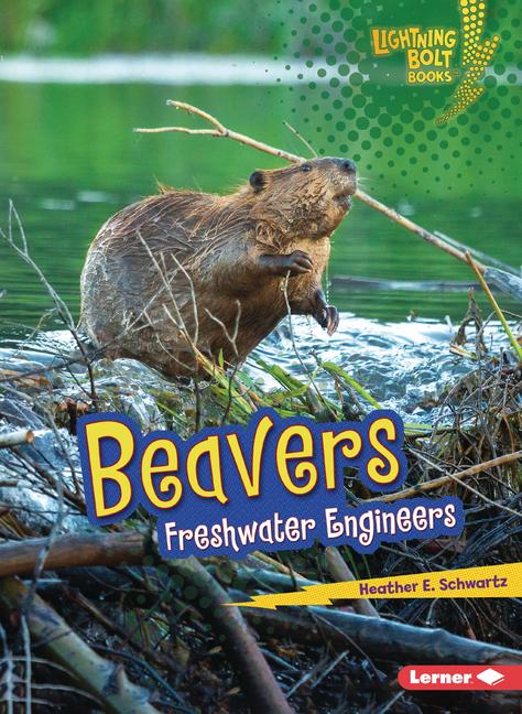 Knjiga Beavers 