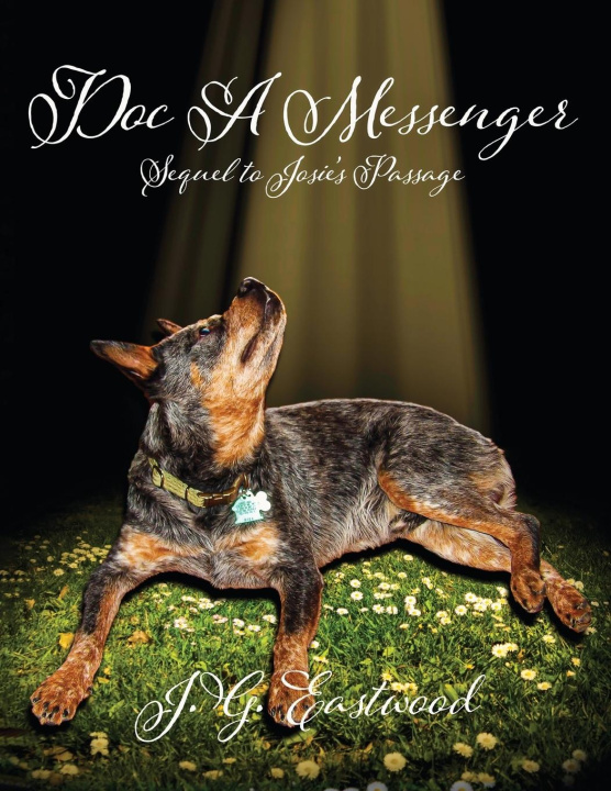 Buch Doc A Messenger J.G. Eastwood