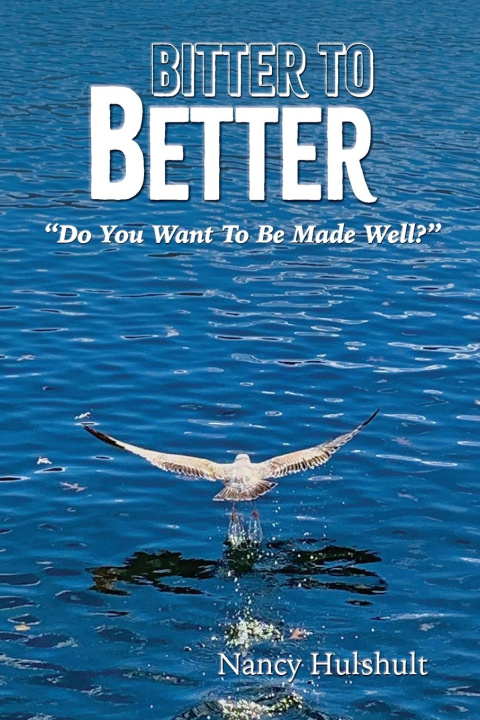Knjiga Bitter to Better Nancy Hulshult