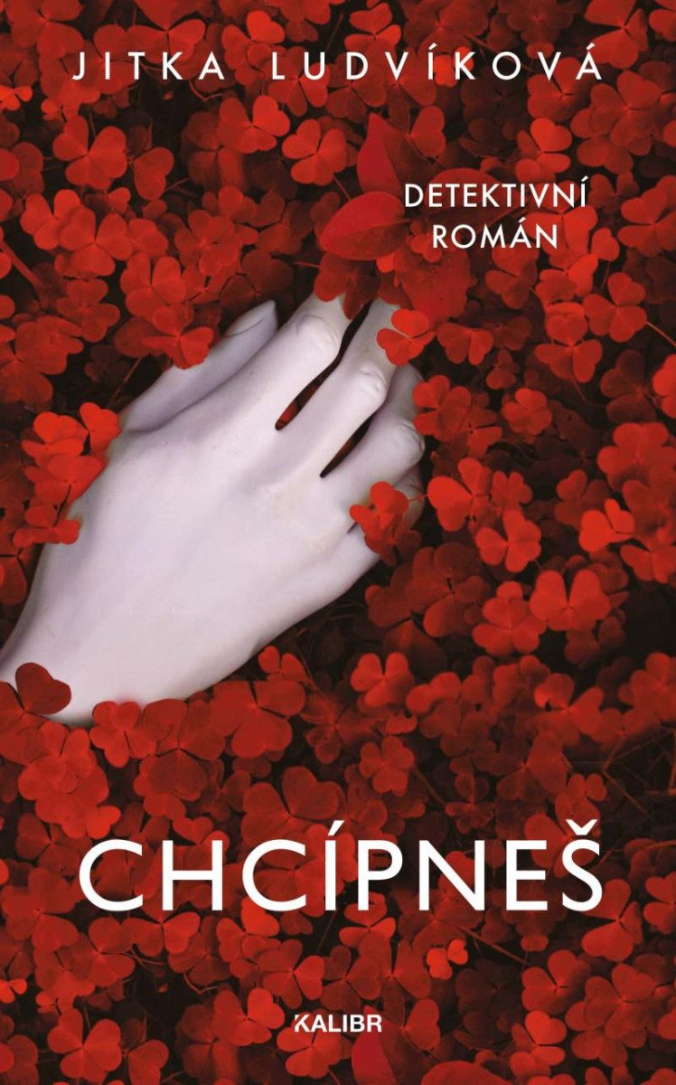 Book Chcípneš Jitka Ludvíková