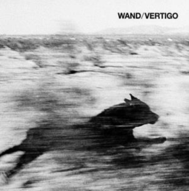 Audio Vertigo Wand