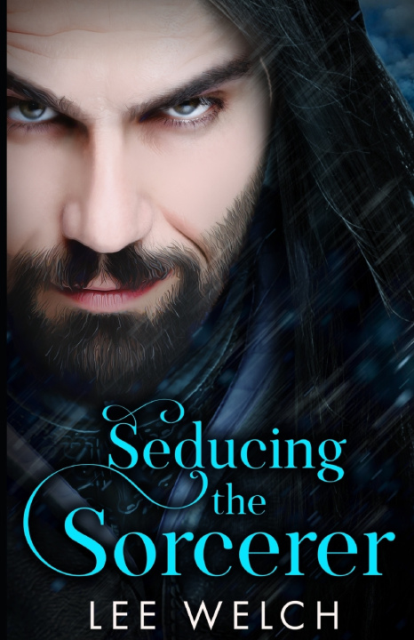 Buch Seducing the Sorcerer Lee Welch