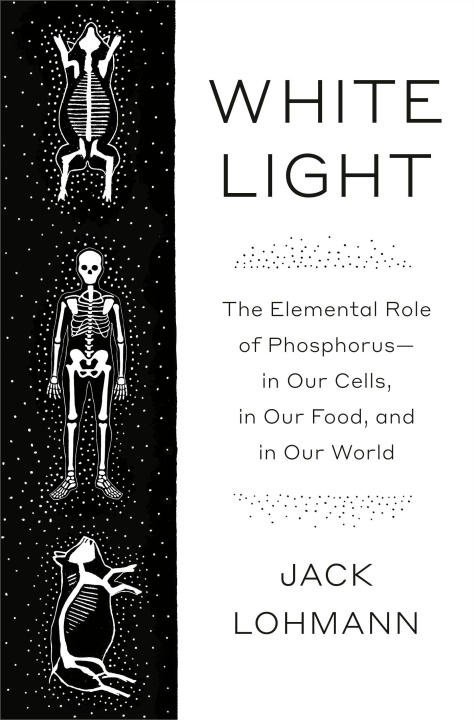 Book White Light Lohmann