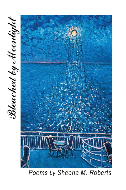 Kniha Bleached by Moonlight Sheena M. Roberts