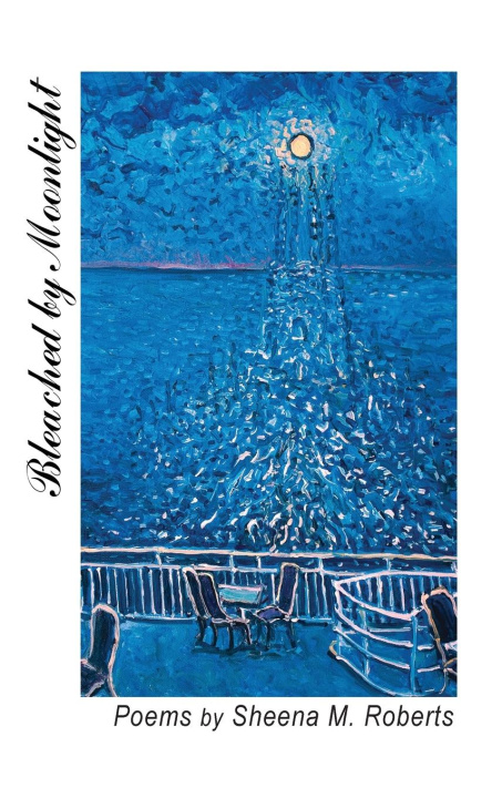Knjiga Bleached by Moonlight Sheena M. Roberts