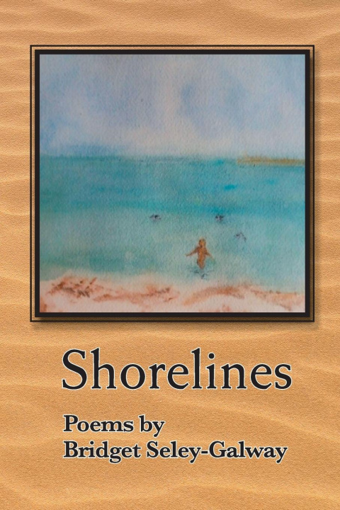 Knjiga Shorelines Bridget Seley-Galway