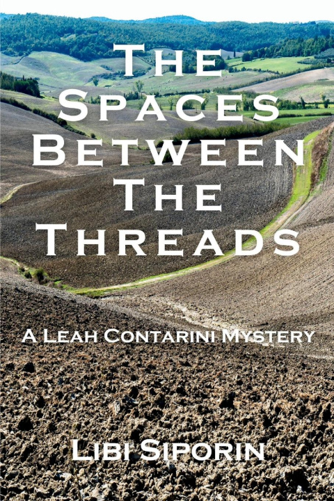 Knjiga The Spaces Between the Threads Libi Siporin