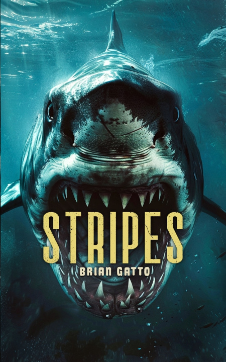 Knjiga Stripes Brian Gatto