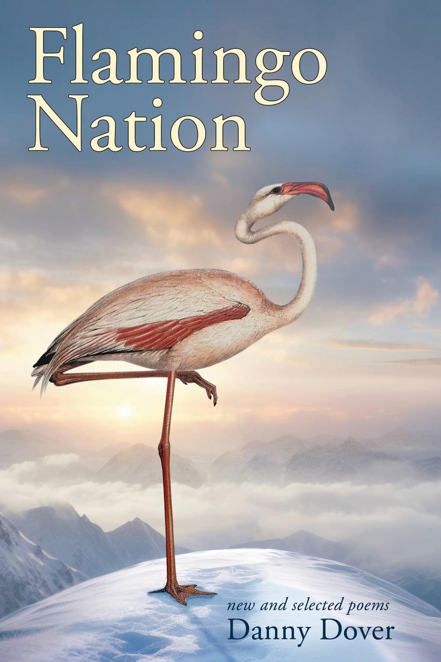Buch Flamingo Nation Danny Dover