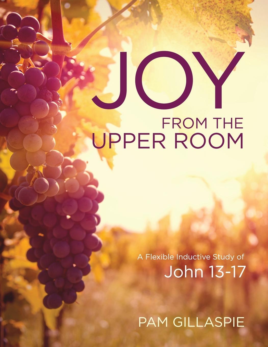 Book JOY from the Upper Room Pam Gillaspie