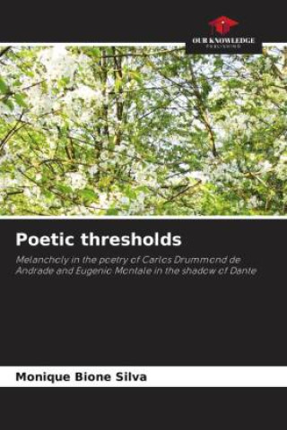 Knjiga Poetic thresholds Monique Bione Silva