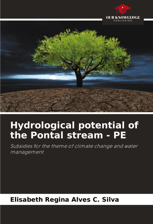 Knjiga Hydrological potential of the Pontal stream - PE Elisabeth Regina Alves C. Silva