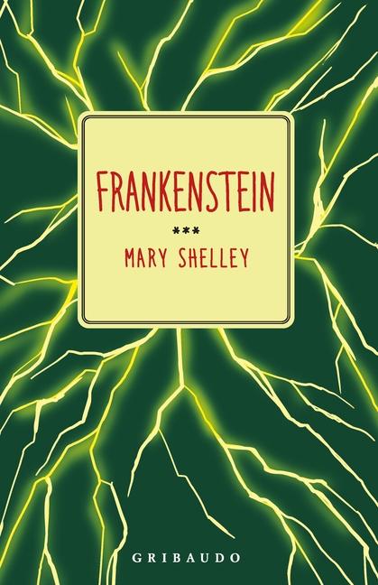 Buch Frankenstein Mary Shelley