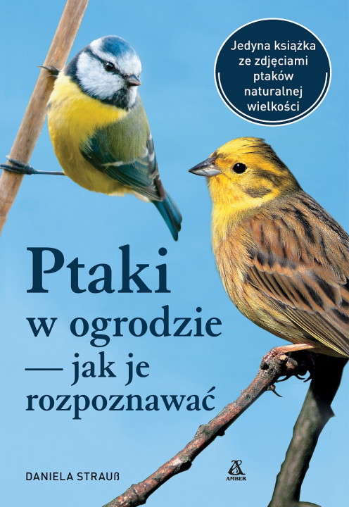 Kniha Ptaki w ogrodzie - jak je rozpoznawać Strauss Daniela