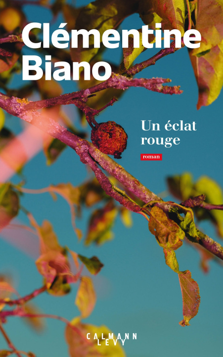 Knjiga Un éclat rouge Clémentine Biano