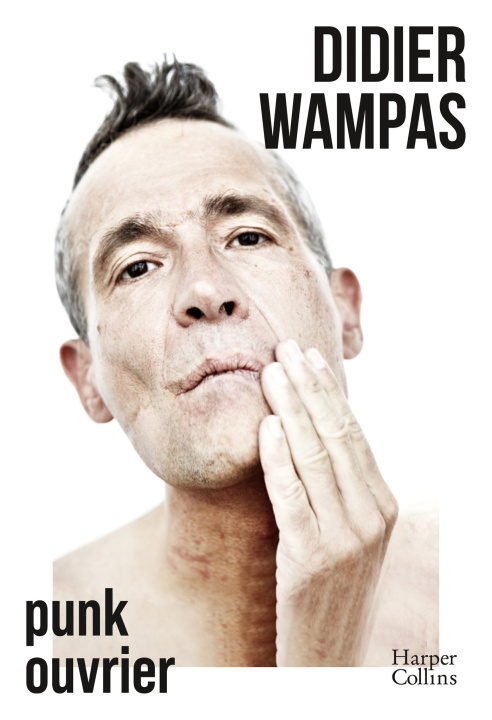 Knjiga Punk ouvrier Didier Wampas