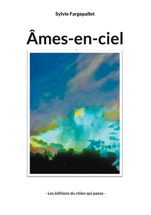 Buch AMES EN CIEL FARGEPALLET SYLVIE