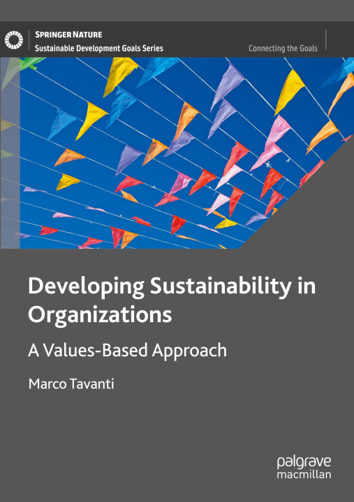 Kniha Developing Sustainability in Organizations Marco Tavanti